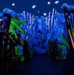 1Festa dell'arte- Acquario suburbano vers wood