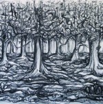 1Immaterial Spaces Chiara Corvino-Il Bosco