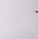 1Nina-Giancarlo Pesce-Soliloquio