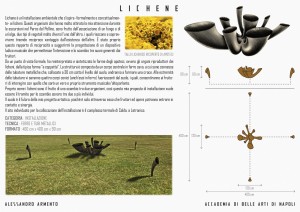 AlessandroArmento_Lichene